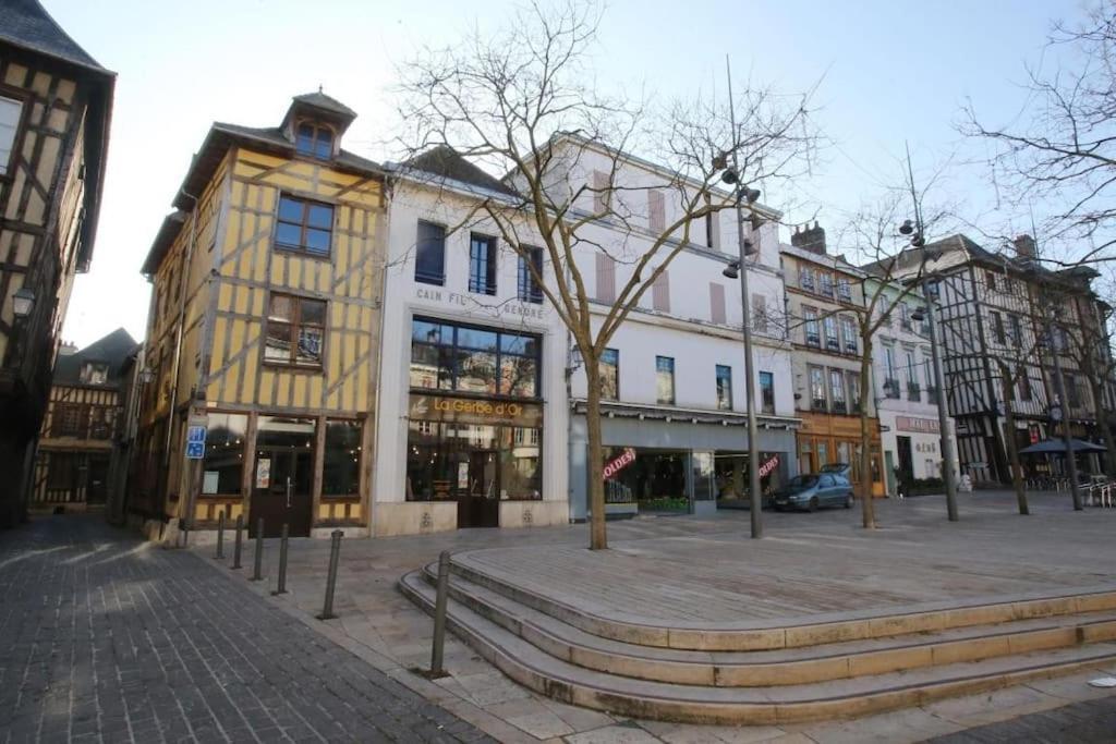 Cocoon Standing - Coeur Historique De * Troyes